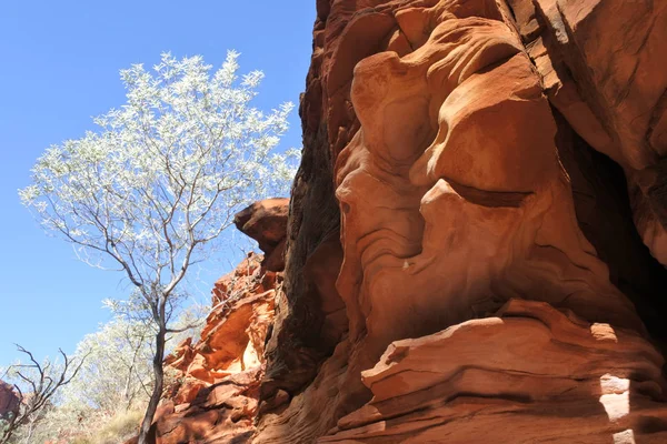 Kings Canyon az északi területen Ausztrália — Stock Fotó