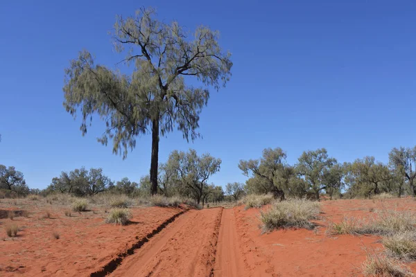 Camino de tierra en el interior de Australia —  Fotos de Stock