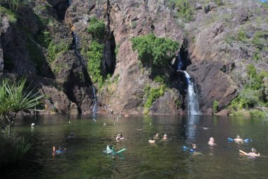 Litchfield Ulusal Parkı Kuzey Wangi Falls yüzme İnsanlar