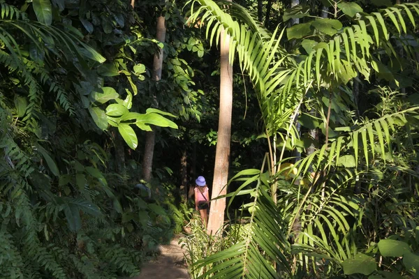 Girl hiking at Litchfield National Park Northern Territory Austr — Stock Photo, Image