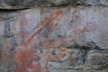 Kakadu Ulusal Parkı Kuzey Terri Aborijin Rock Resimleri