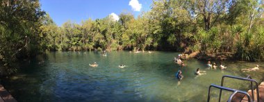 Avustralya'nın Kuzey Toprakları Berry Springs Doğa Parkı