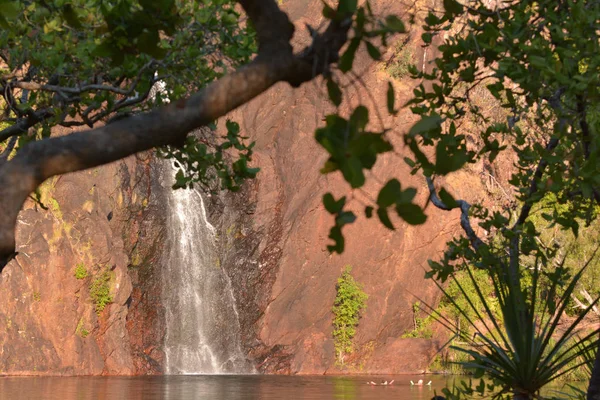 Cascate di Wangi nel Parco Nazionale di Litchfield nel Territorio del Nord — Foto Stock