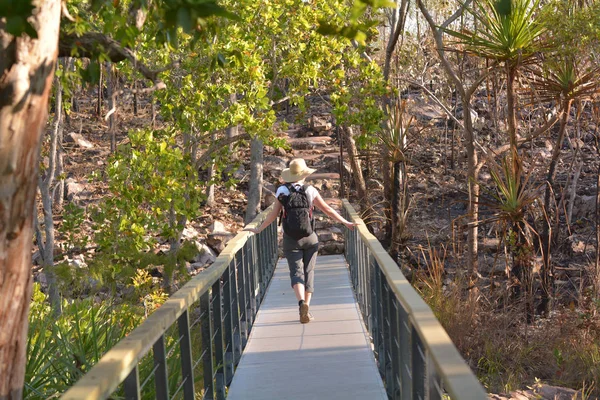 Caminhadas de mulheres no Parque Nacional de Litchfield Northern Territory Aust — Fotografia de Stock