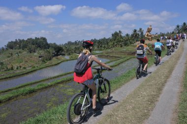 Bali Ind Jatiluwih pirinç terasları pirinç alanına Bisiklet turu