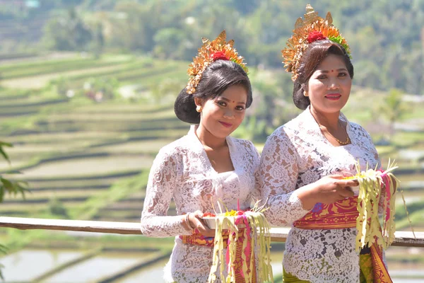 Balinesiska kvinnor dansar Tari Pendet Dance i Bali Indonesien — Stockfoto