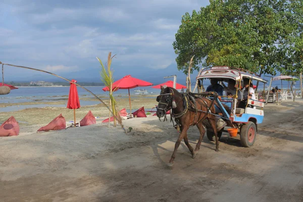 Paardenkoets in Gili Air eiland Bali Lombok Indonesië — Stockfoto