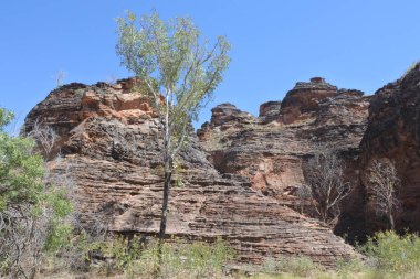 Kununurra Kimberley Batı Avustralya yakınlarındaki kaya oluşumları