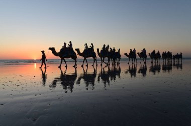 Deve binmek Turistlerin Siluet Kablo Beach Broome Kimberle