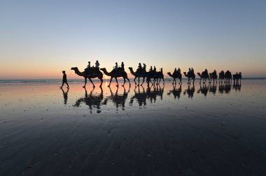 Deve binmek Turistlerin Siluet Kablo Beach Broome Kimberle