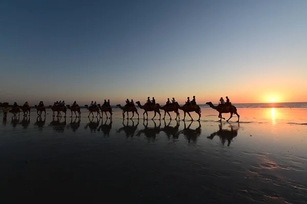 Silhueta de turistas em passeio de camelo Cable Beach Broome Kimberle — Fotografia de Stock