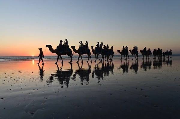 Silhueta de turistas em passeio de camelo Cable Beach Broome Kimberle — Fotografia de Stock