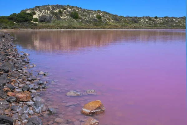 Hutt Lagoon Pink lake at Port Gregory in Western Australia