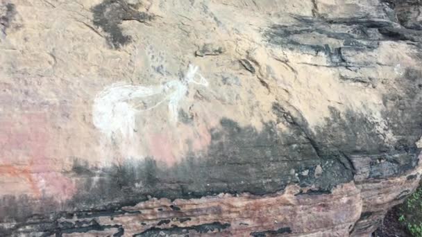 Pinturas Rupestres Aborígenes Sitio Arte Rupestre Burrungkuy Nourlangie Parque Nacional — Vídeos de Stock