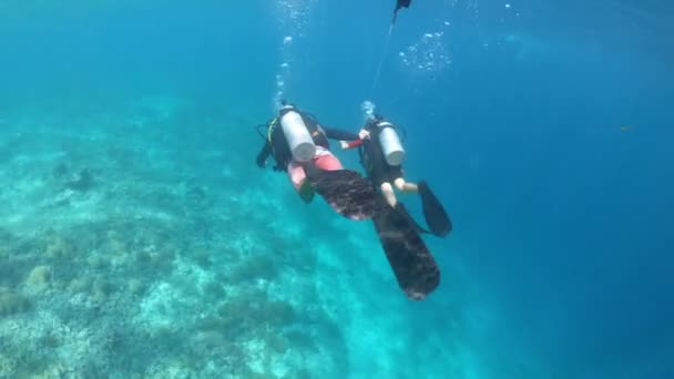 Děvčátko Potápěčském Kurzu Gili Islandu Světově Proslulé Potápění Poblíž Bali — Stock video