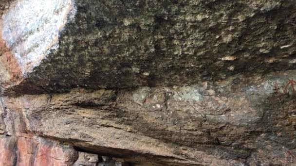 澳大利亚北部Kakadu国家公园Burrungkuy Nourlangie岩石艺术现场的土著岩画 — 图库视频影像