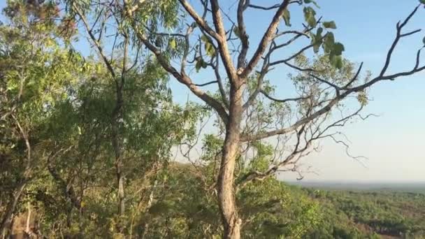 Letecký Pohled Krajinu Litchfieldského Národního Parku Severním Území Austrálie — Stock video