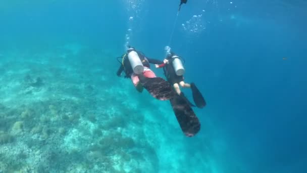 バリ島とロンボク島の近くで世界的に有名なダイビングをしている子供の女の子インドネシア — ストック動画