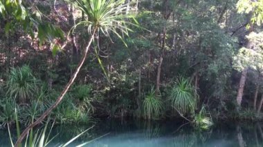 Avustralya 'nın kuzey bölgesindeki Kakadu Ulusal Parkı' nın manzarası