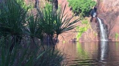 Litchfield Ulusal Parkı 'ndaki Wangi Şelalesi manzarası Avustralya' nın kuzey bölgesinde..