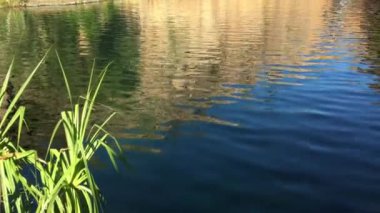 Maguk, Avustralya 'nın kuzeyindeki Kakadu Ulusal Parkı' ndaki Barramundi Vadisi 'ne düştü.
