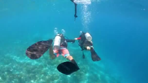 在印度尼西亚巴厘岛和伦博克岛附近享誉世界的吉里群岛参加潜水课程的儿童女孩的时间流逝 — 图库视频影像