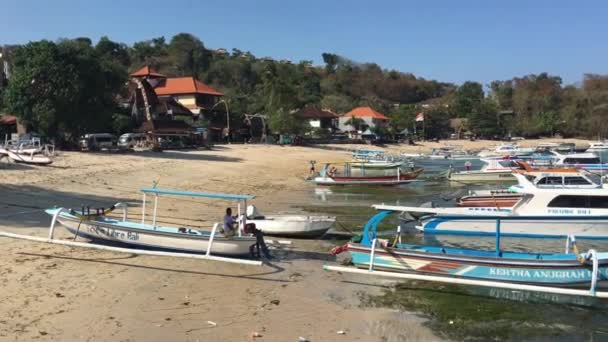 Endonezya Daki Padang Bai Limanı Manzarası — Stok video