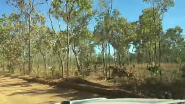 Bil Synvinkel Körning Kakadu National Park Northern Territory Australia — Stockvideo