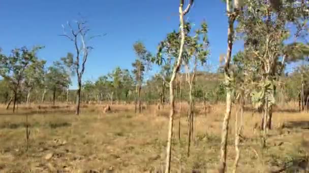 Landschap Als Uitzicht Vanaf Een Auto Rijden Kakadu National Park — Stockvideo