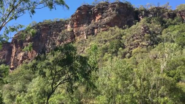 Landschap Van Een Moeras Kakadu National Park Het Noordelijke Territorium — Stockvideo