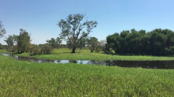 Paysage de marais d'eau jaune dans le parc national de Kakadu dans le Territoire du Nord de l'Australie 