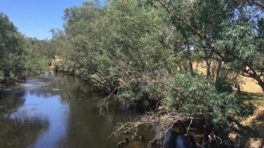 Kuğu Nehri Vadisi Perth Batı Avustralya 'nın hava manzarası. İnsan yok. Boşluğu kopyala