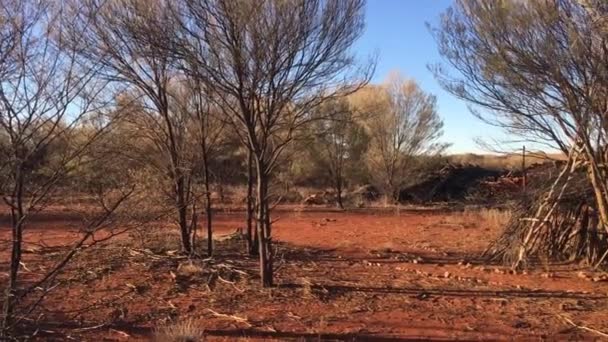 Aboriginal Hut Australische Aboriginals Tijdelijke Opvang Het Centrum Van Australië — Stockvideo