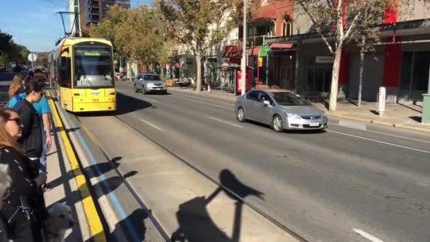 Adelaide Mar 2019 Adelaide Tramvayı Adelaide Metro Güney Avustralya Nın — Stok video