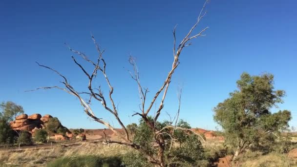 Landschapsbeeld Van Devils Marbles Karlu Karlu Northern Territory Australië — Stockvideo