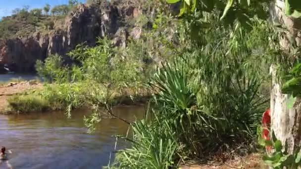 Katherine Juli 2019 Australier Schwimmen Bei Edith Falls Nitmiluk National — Stockvideo