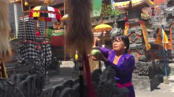 Ubud Bali Août 2019 Femme Balinaise Offrant Des Offrandes Religieuses — Video