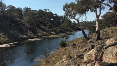 Victoria Avustralya 'daki Bombala Platypus Nehri manzarası