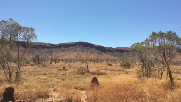 Landscape View Boab Tree Kimberly Western Australia — Stock Video