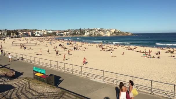 Sydney Ene 2019 Vista Panorámica Del Paisaje Bondi Beach Sydney — Vídeos de Stock