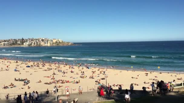 Sydney Jan 2019 Panoramautsikt Över Bondi Beach Sydney New South — Stockvideo