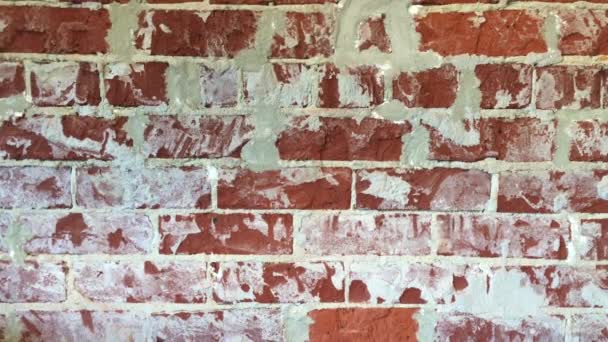 Brick Wall Old Style Background — Stock Video