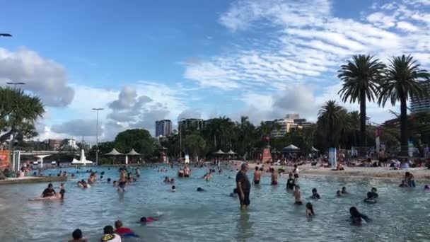 Brisbane Dec 2018 Άνθρωποι Που Κολυμπούν Δρόμους Παραλία Δημόσια Πισίνα — Αρχείο Βίντεο