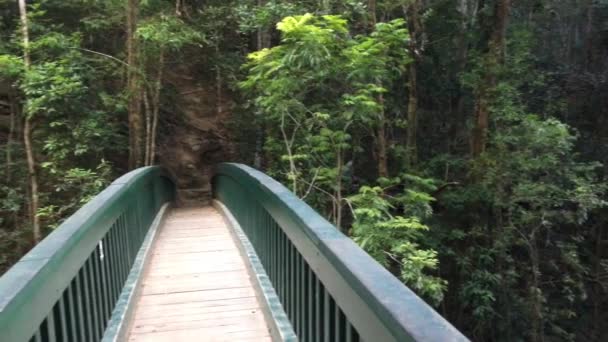 Buderim Wasserfall Von Einer Holzbrücke Sunshine Coast Queensland Australien — Stockvideo