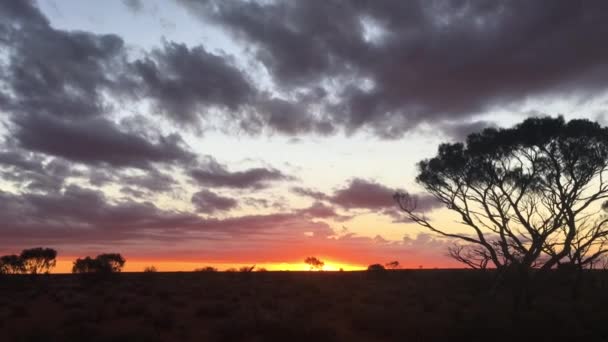 Δραματικό Ηλιοβασίλεμα Πάνω Από Τοπίο Της Κεντρικής Αυστραλίας Outback — Αρχείο Βίντεο