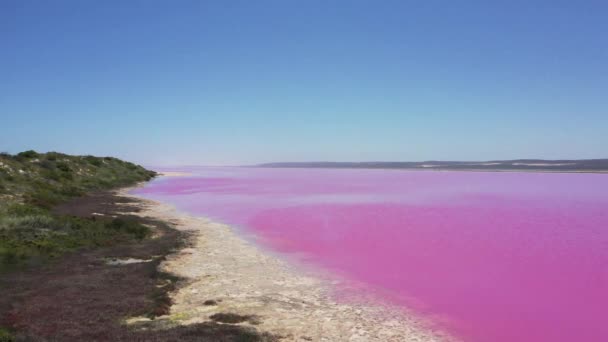 Aerial Landscape View Hutt Lagoon Pink Lake Port Gregory Western — Stockvideo