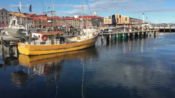 Hobart Tazmanya Avustralya Daki Anayasa Limanı Nda Balıkçı Tekneleri — Stok video