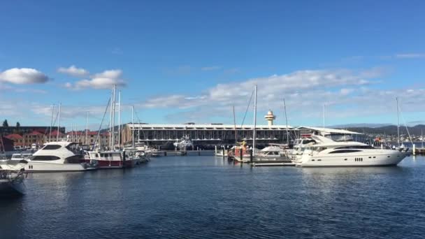 Yachts Boats Franklin Wharf Hobart Τασμανία Αυστραλία Hobart Είναι Πρωτεύουσα — Αρχείο Βίντεο