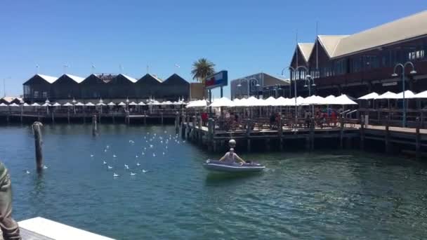Fremantle Balıkçı Gemisi Limanı Yerel Balıkçılık Endüstrisine Destek Olmak Günümüzde — Stok video