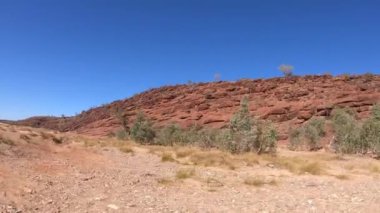 Palm Valley Batı MacDonnell Ulusal Parkı Kuzey Avustralya